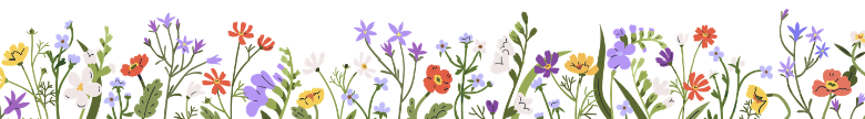 illustrated wildflowers